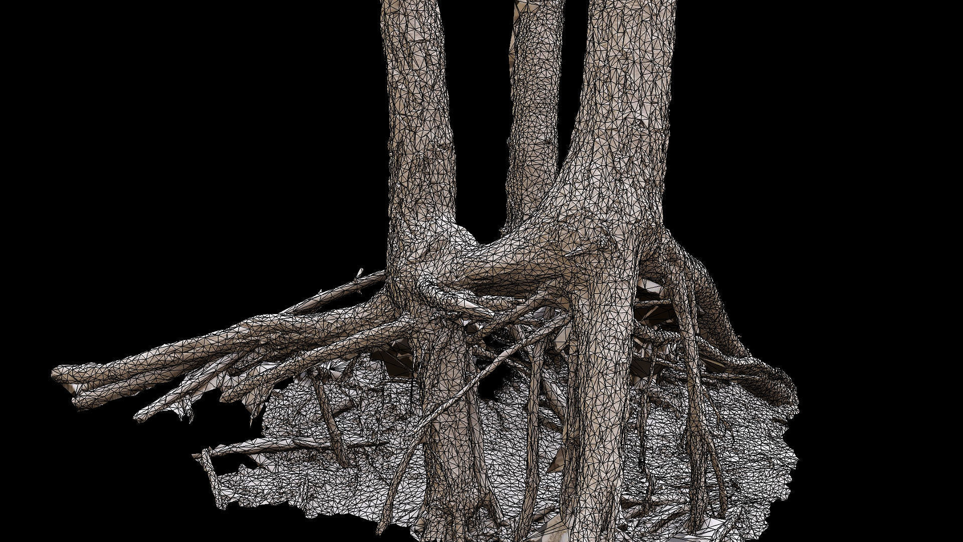 trees pine dense roots set photogrammetry Low-poly 3D model_8