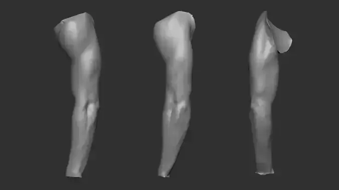 3D Scanned Male Arm - High-Resolution Male-Hispanic-23 Yrs old 3D model