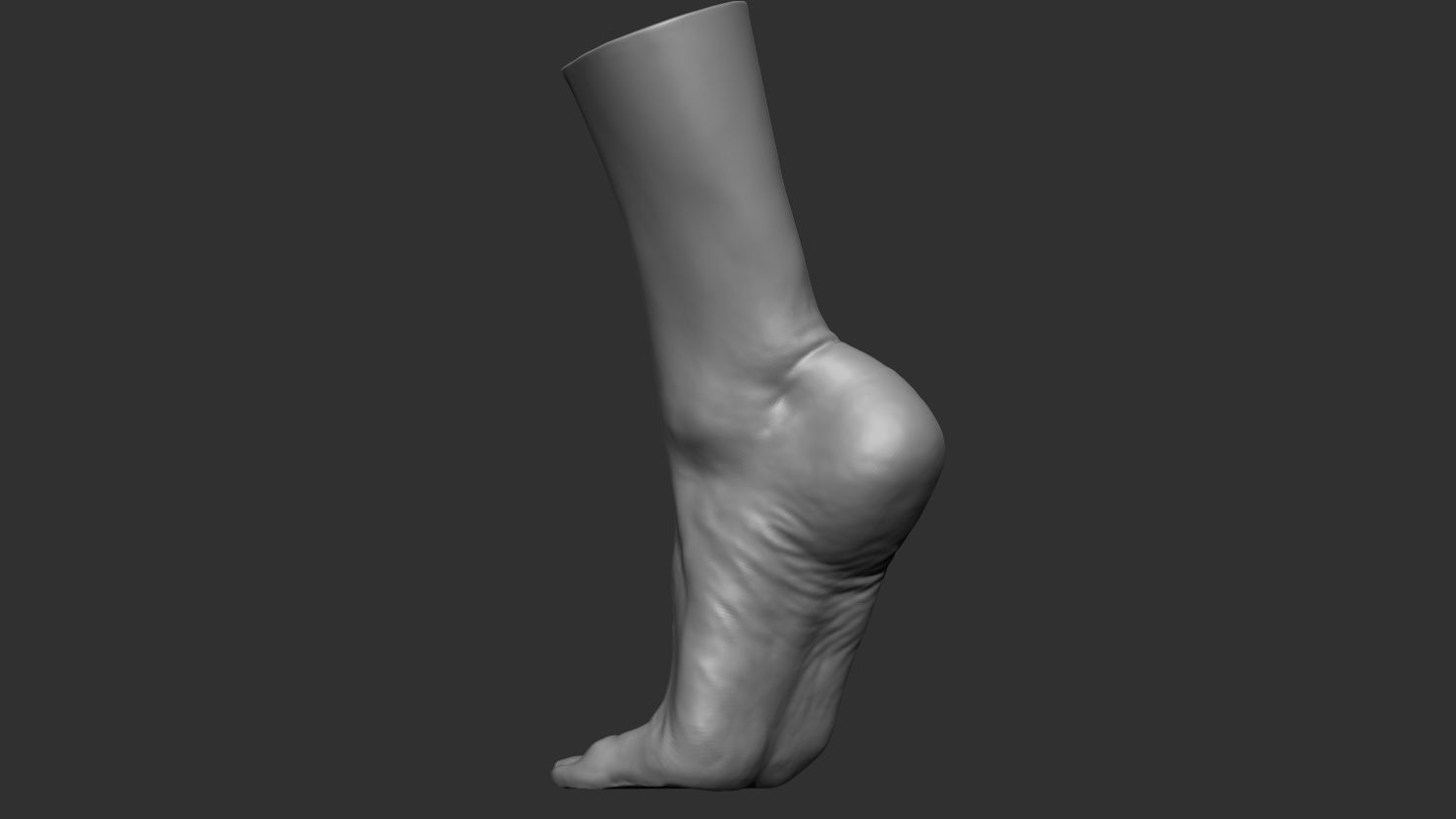 3D Scanned Male Foot - High-Resolution Male-Hispanic-23 Yrs old 3D model_3