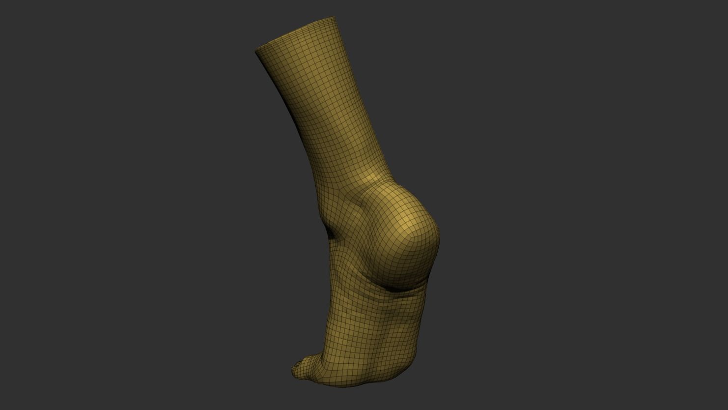 3D Scanned Male Foot - High-Resolution Male-Hispanic-23 Yrs old 3D model_5
