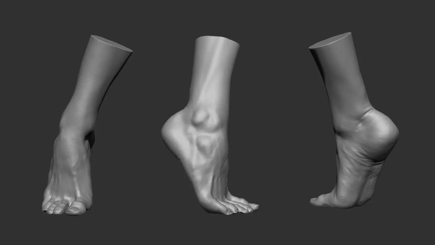 3D Scanned Male Foot - High-Resolution Male-Hispanic-23 Yrs old 3D model_0