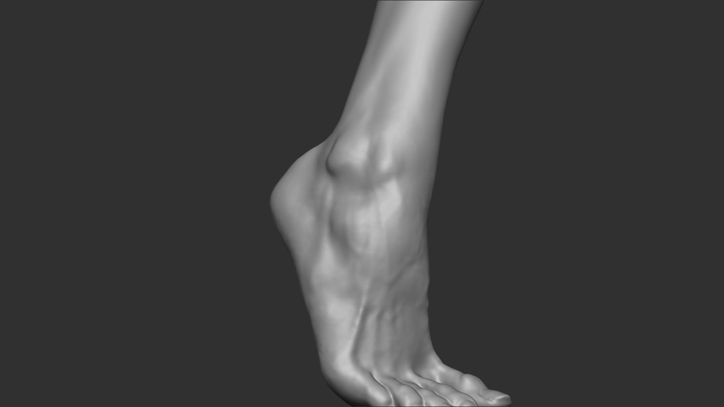 3D Scanned Male Foot - High-Resolution Male-Hispanic-23 Yrs old 3D model_1