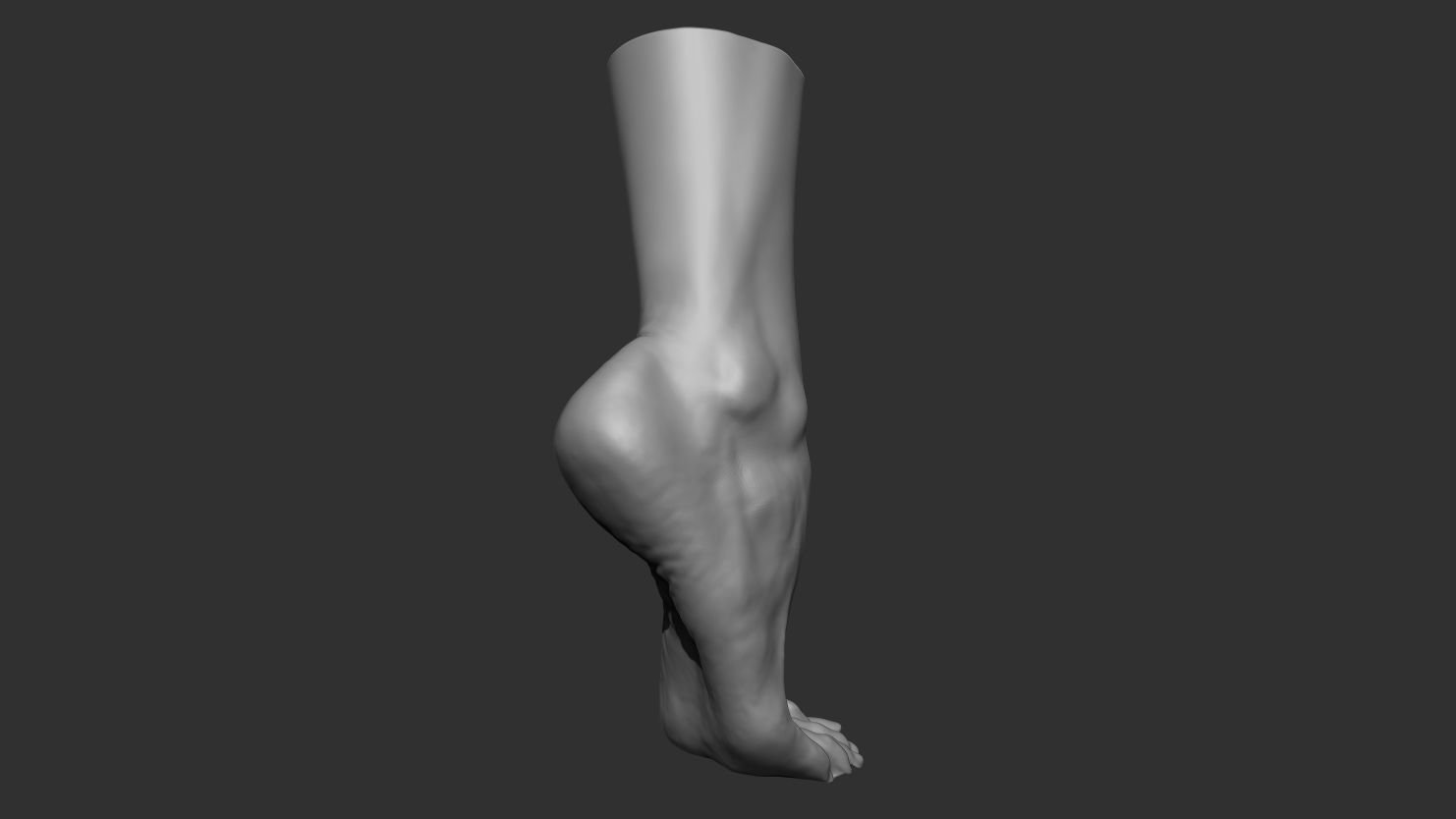 3D Scanned Male Foot - High-Resolution Male-Hispanic-23 Yrs old 3D model_2