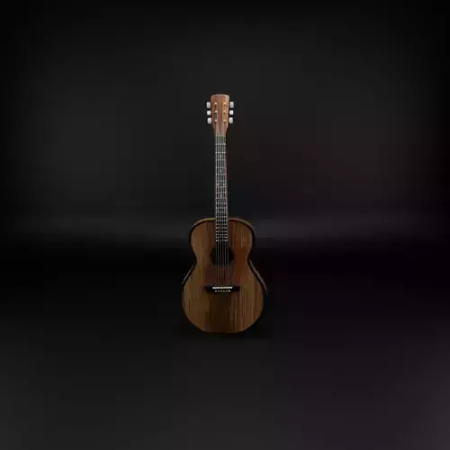 Acoustic Guitar