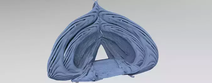 Dantes pyramid steps 1