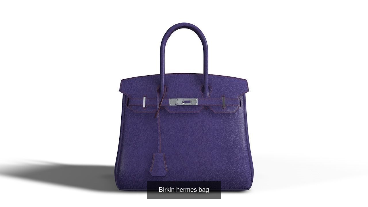 Birkin Bag 3D Model Collection_2