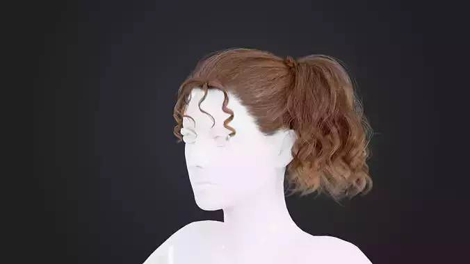 Realistic Female Hair
