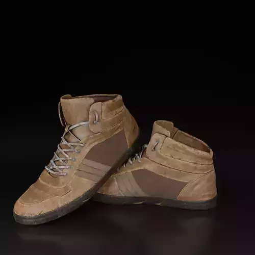 Shoes 3D Model