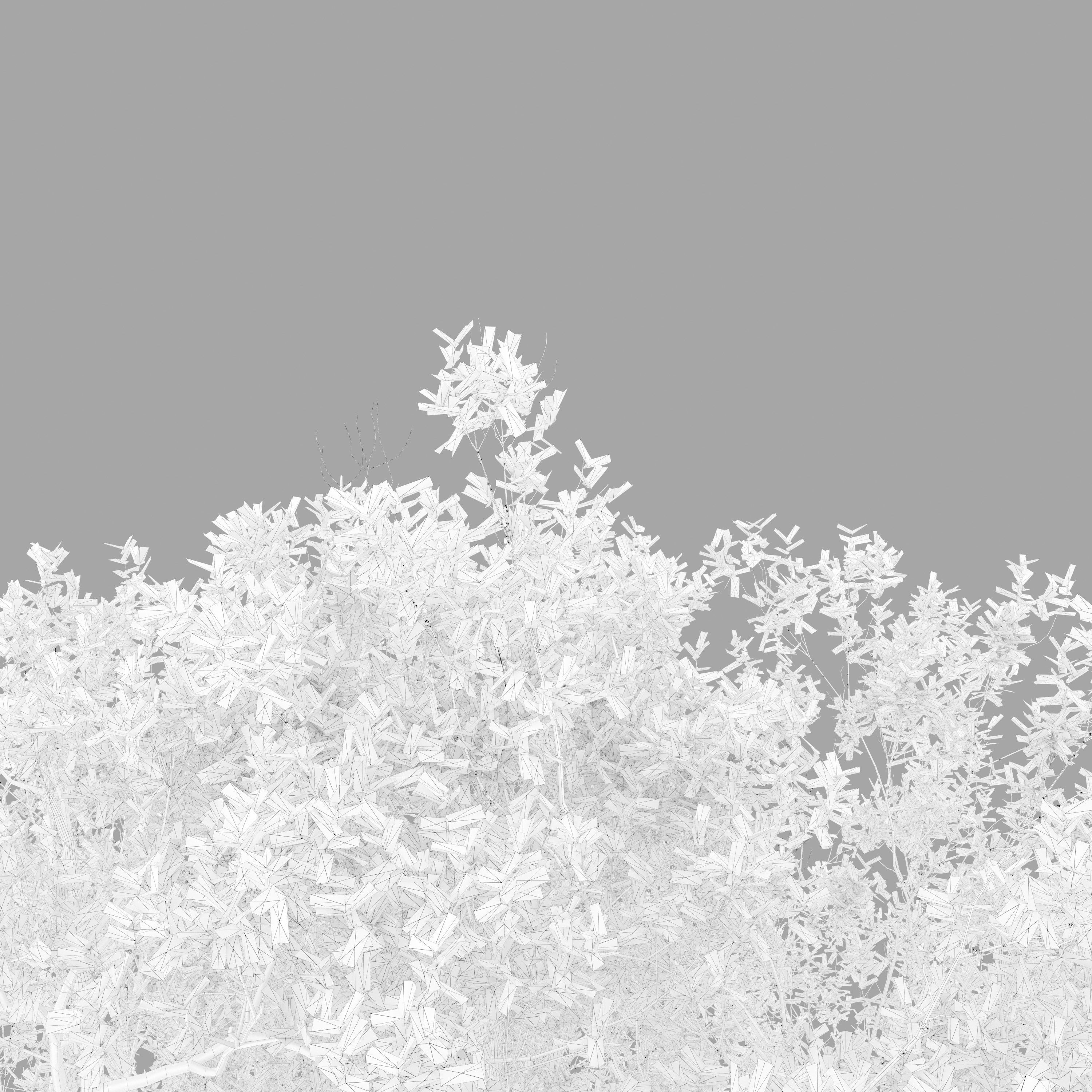 Autumn oak tree 02 3D model_4