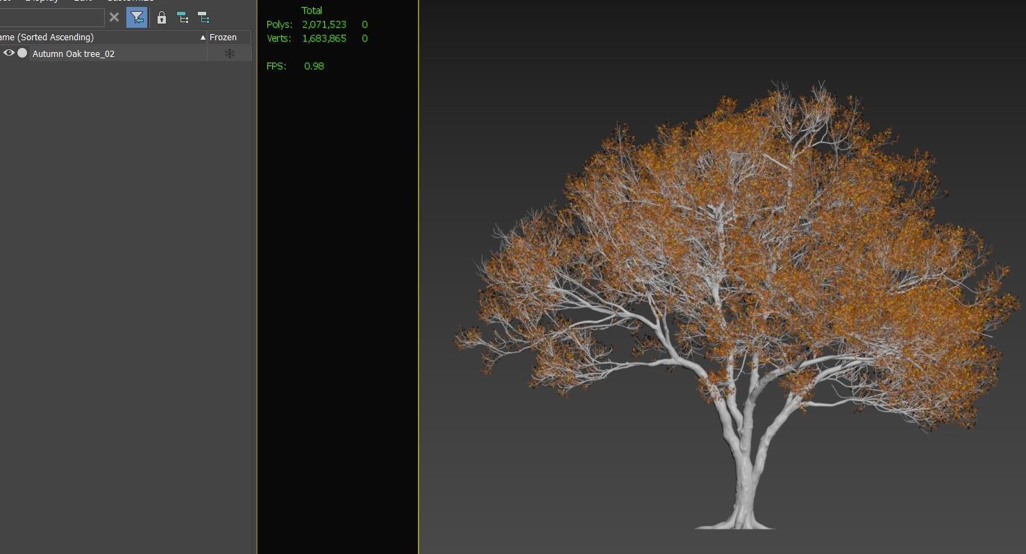 Autumn oak tree 02 3D model_5