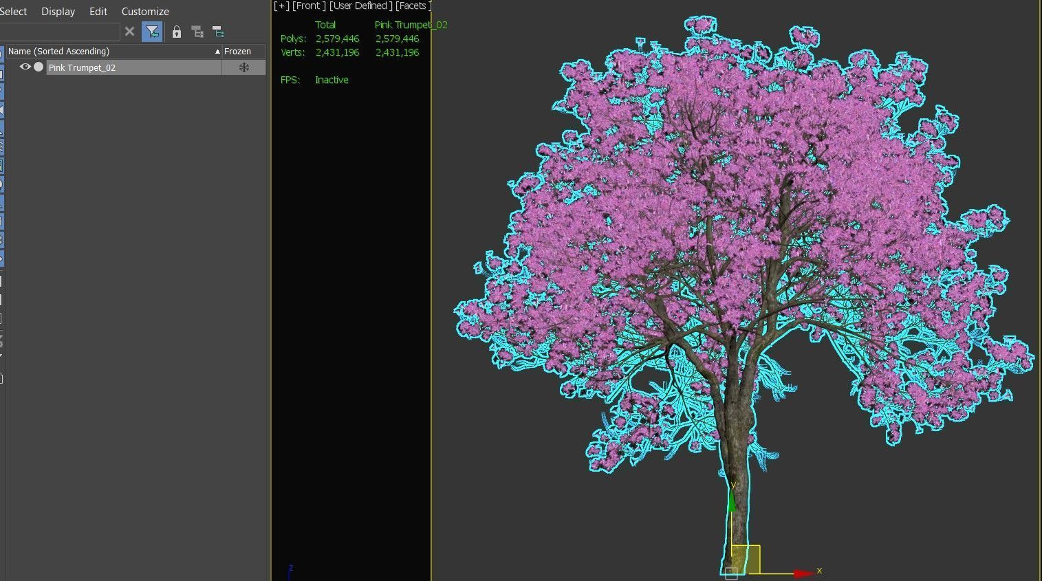 Pink Trumpet Tree 02 3D model_4
