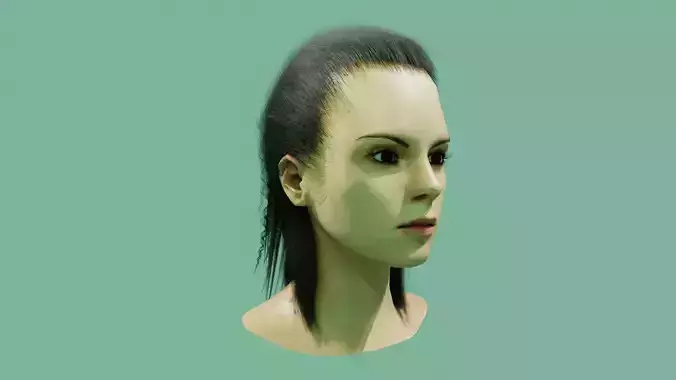 Female Hair Model Low-poly 3D model Female Hair Model Low-poly 3D model