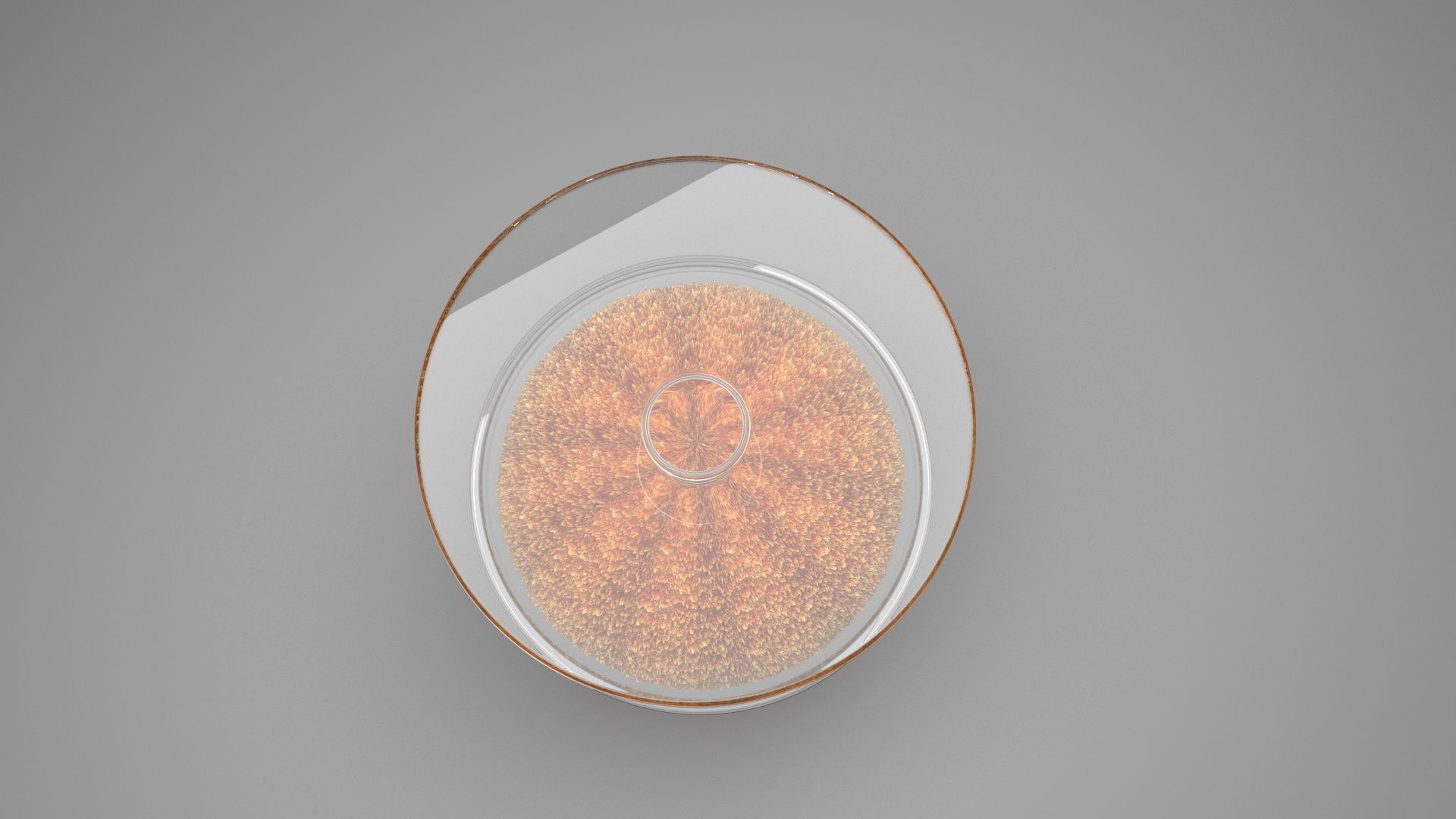 Fried Ice Cream 3D model_4