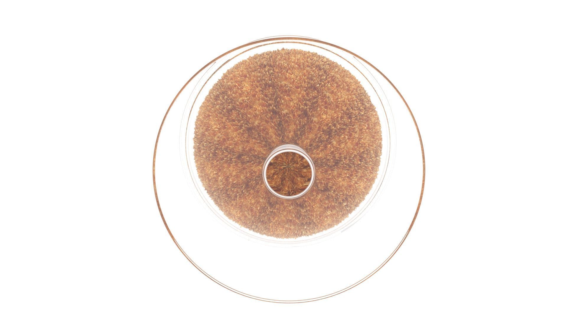 Fried Ice Cream 3D model_15