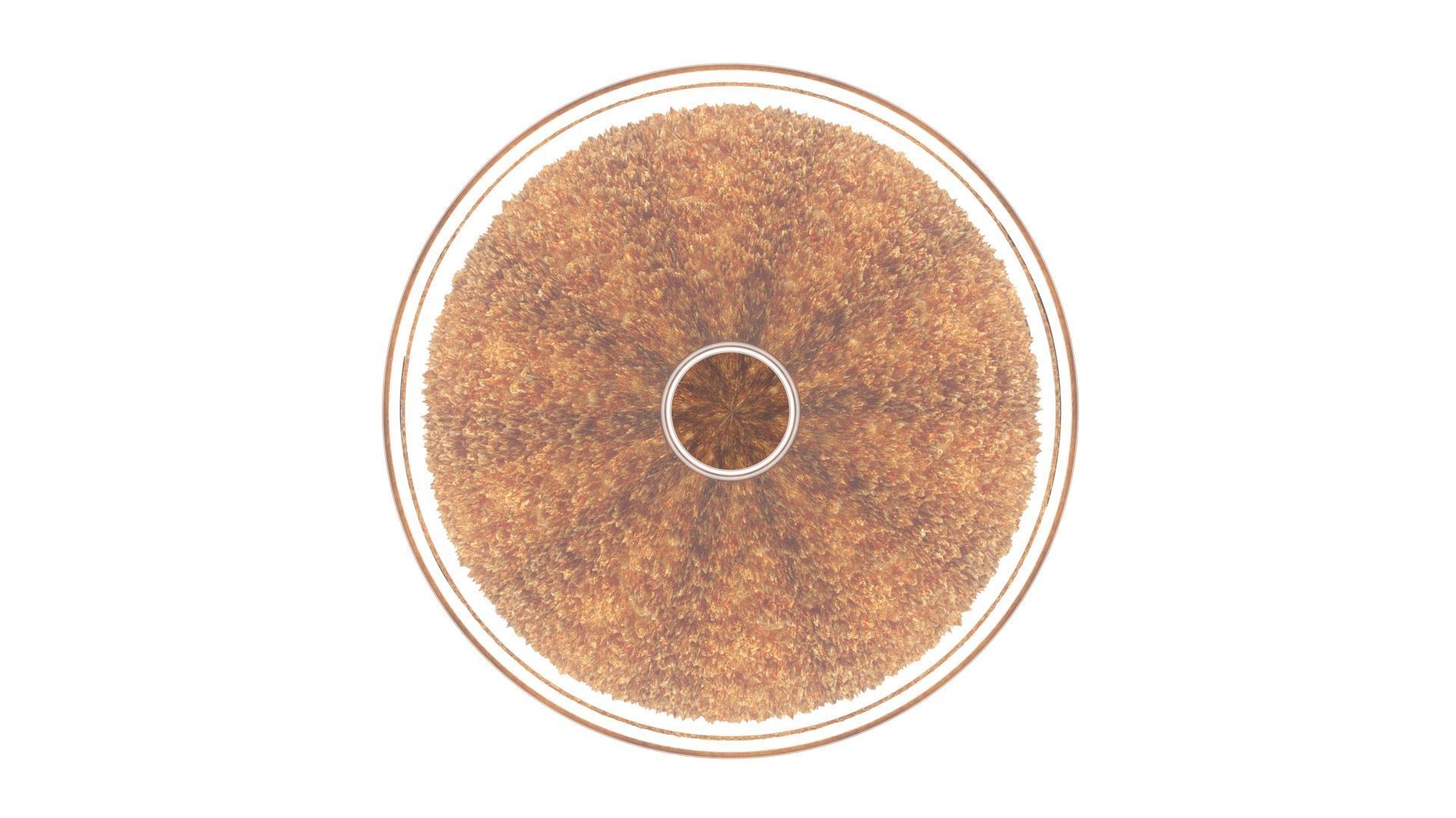 Fried Ice Cream 3D model_20