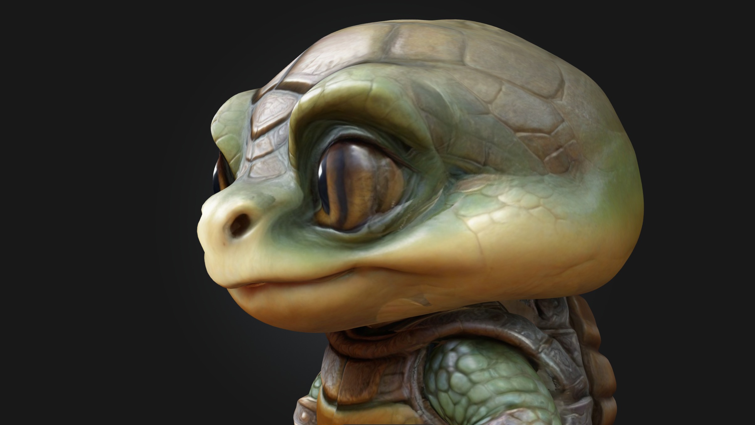 A Chibi Style Turtle 3D Model Features Low-poly 3D model_2