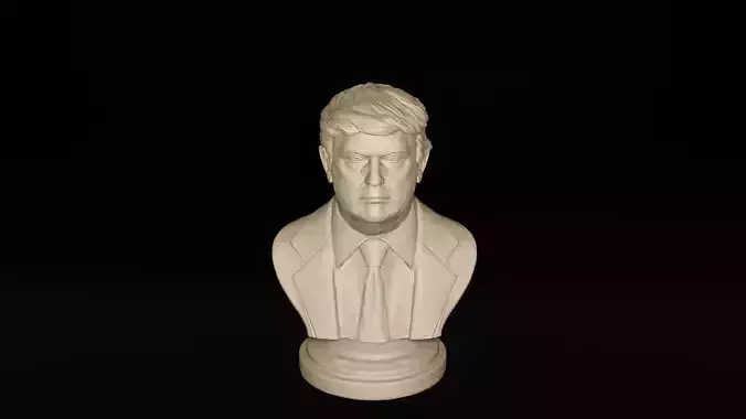 3D Printable Bust of President Donald Trump 3D print model