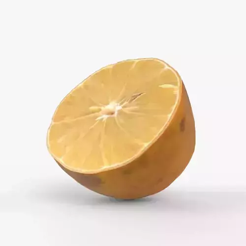 Photorealistic 3D scan of half a Lemon 