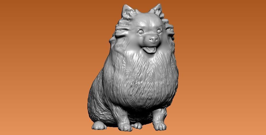 Woody pomeranian Dog statue - 3D print 3D print model_2
