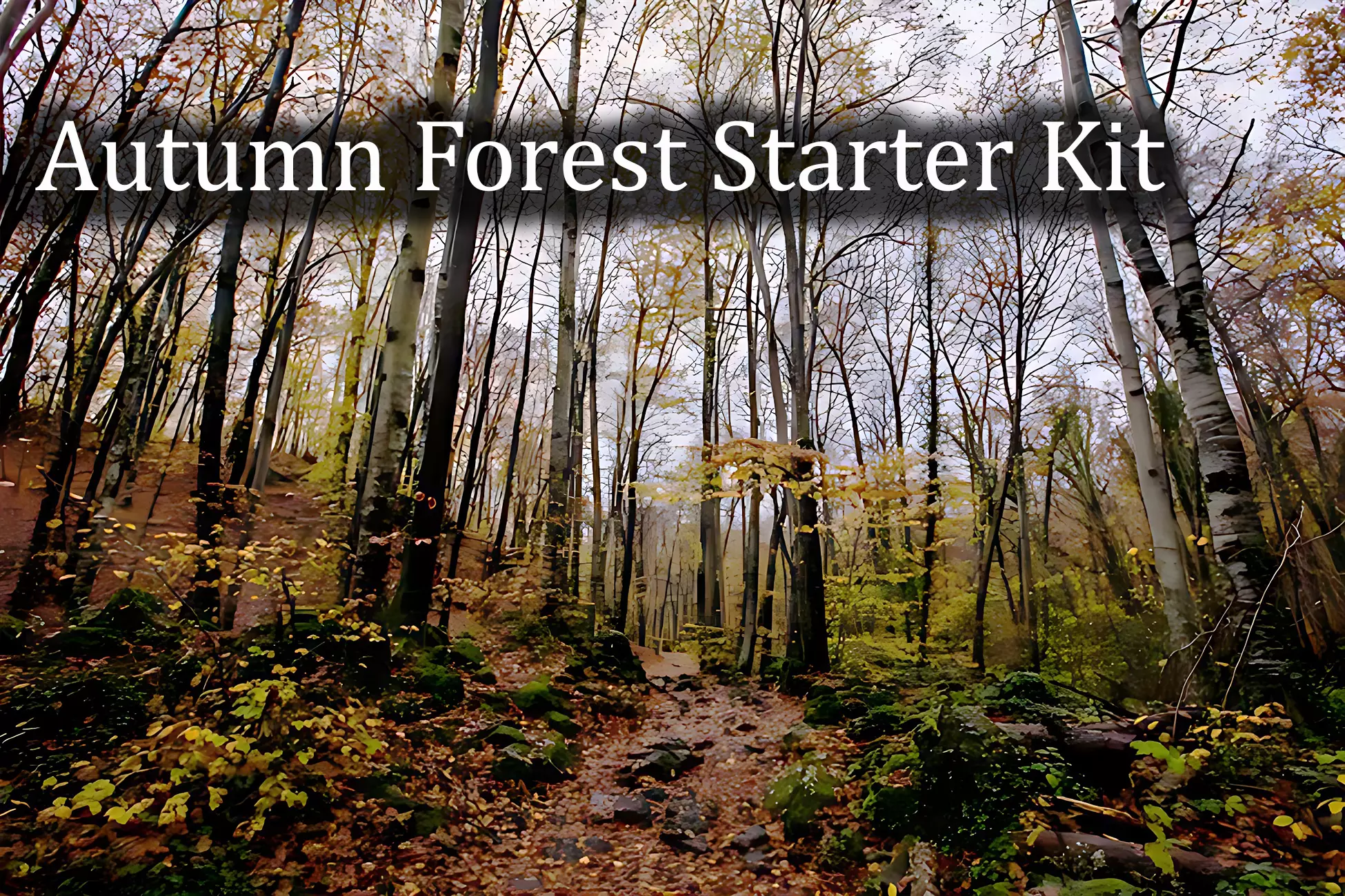 Autumn Forest  Game Trees  Low-poly 3D model_0