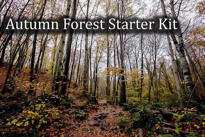 Autumn Forest  Game Trees  Low-poly 3D model
