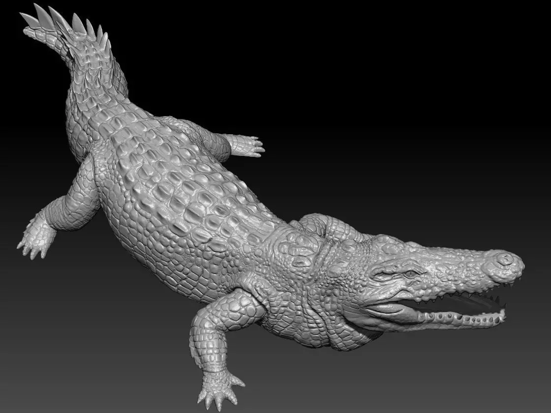 Nile Crocodile for print  3D print model_0