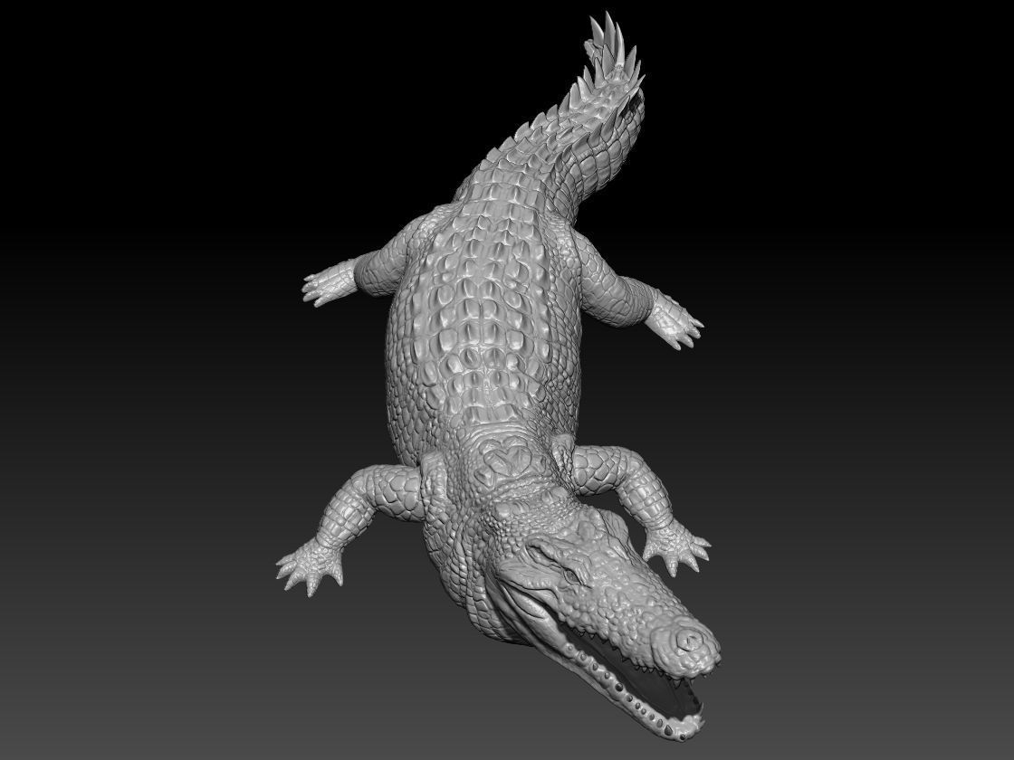 Nile Crocodile for print  3D print model_2
