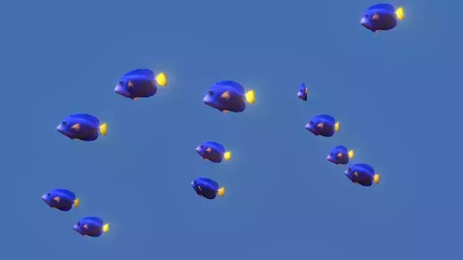 Purple Tang Schooling Fish