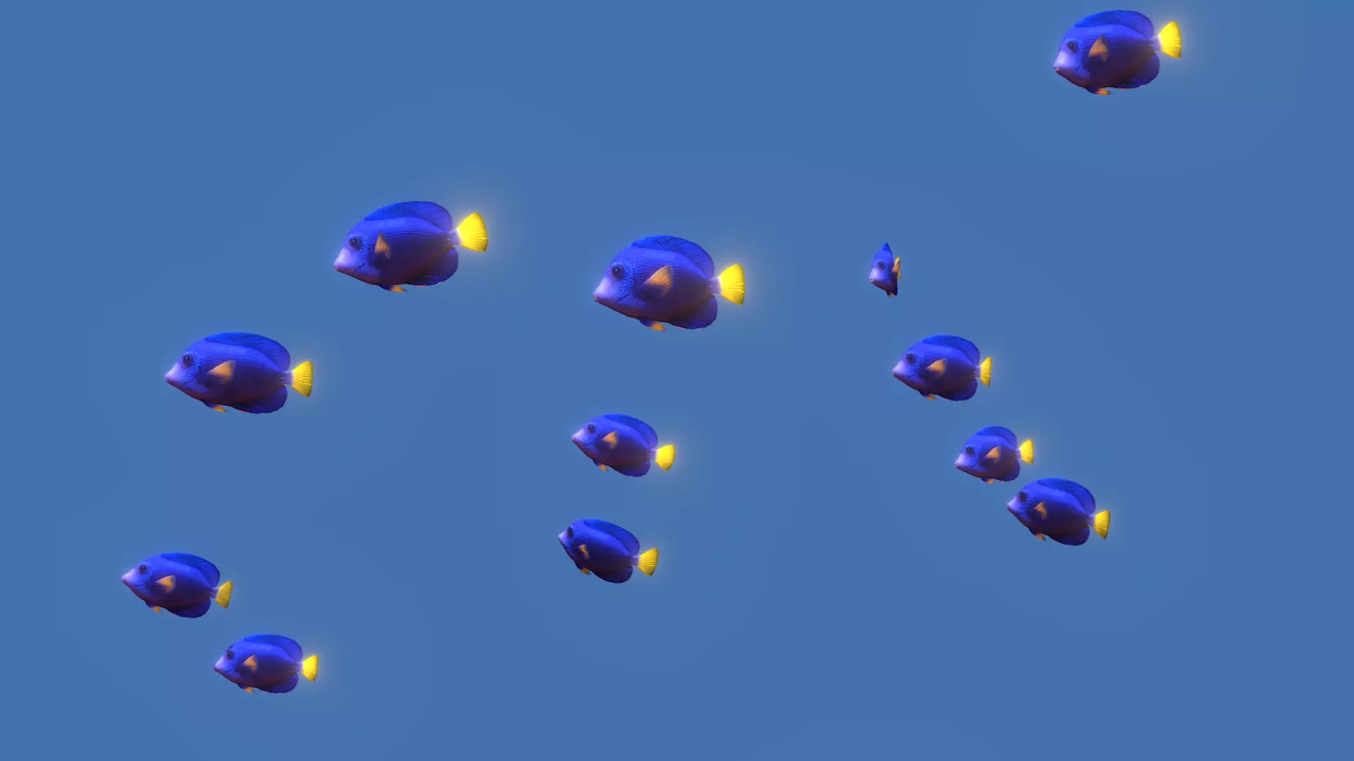Purple Tang Schooling Fish Low-poly 3D model_0
