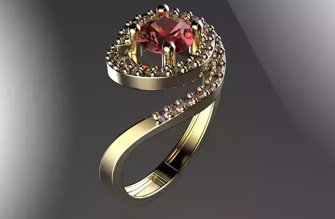 jewelry ring 201