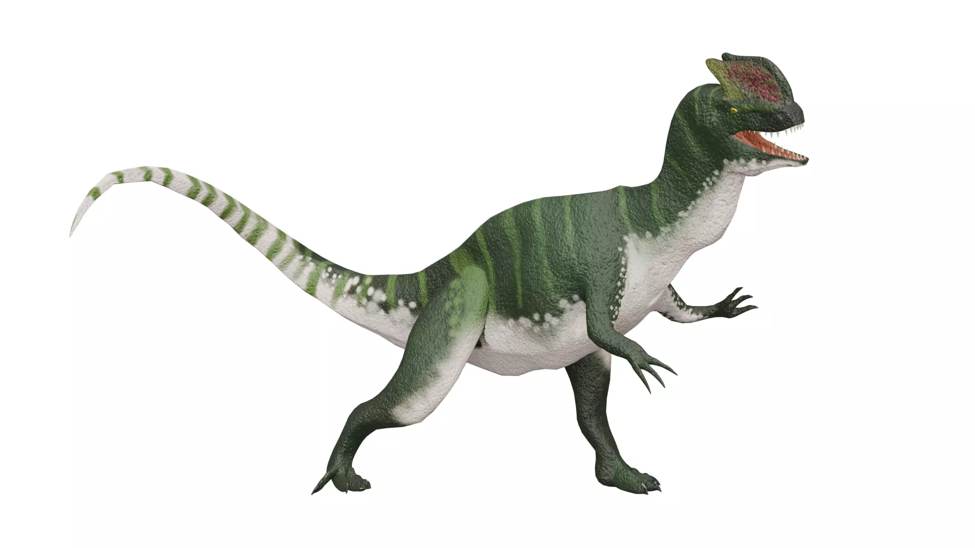 Dilophosaurus RIG Free 3D model