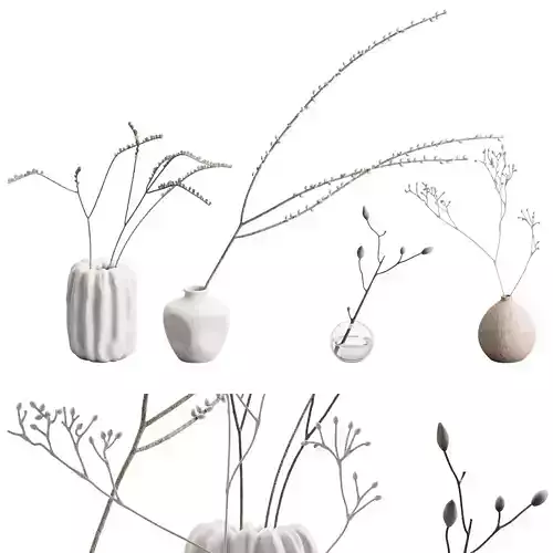 550 indoor plants 01 branches in a vases 01