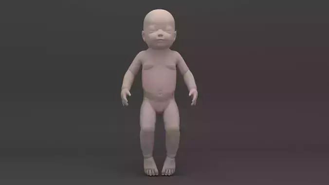 Infant 3D Model - Baby and Full Skeleton
