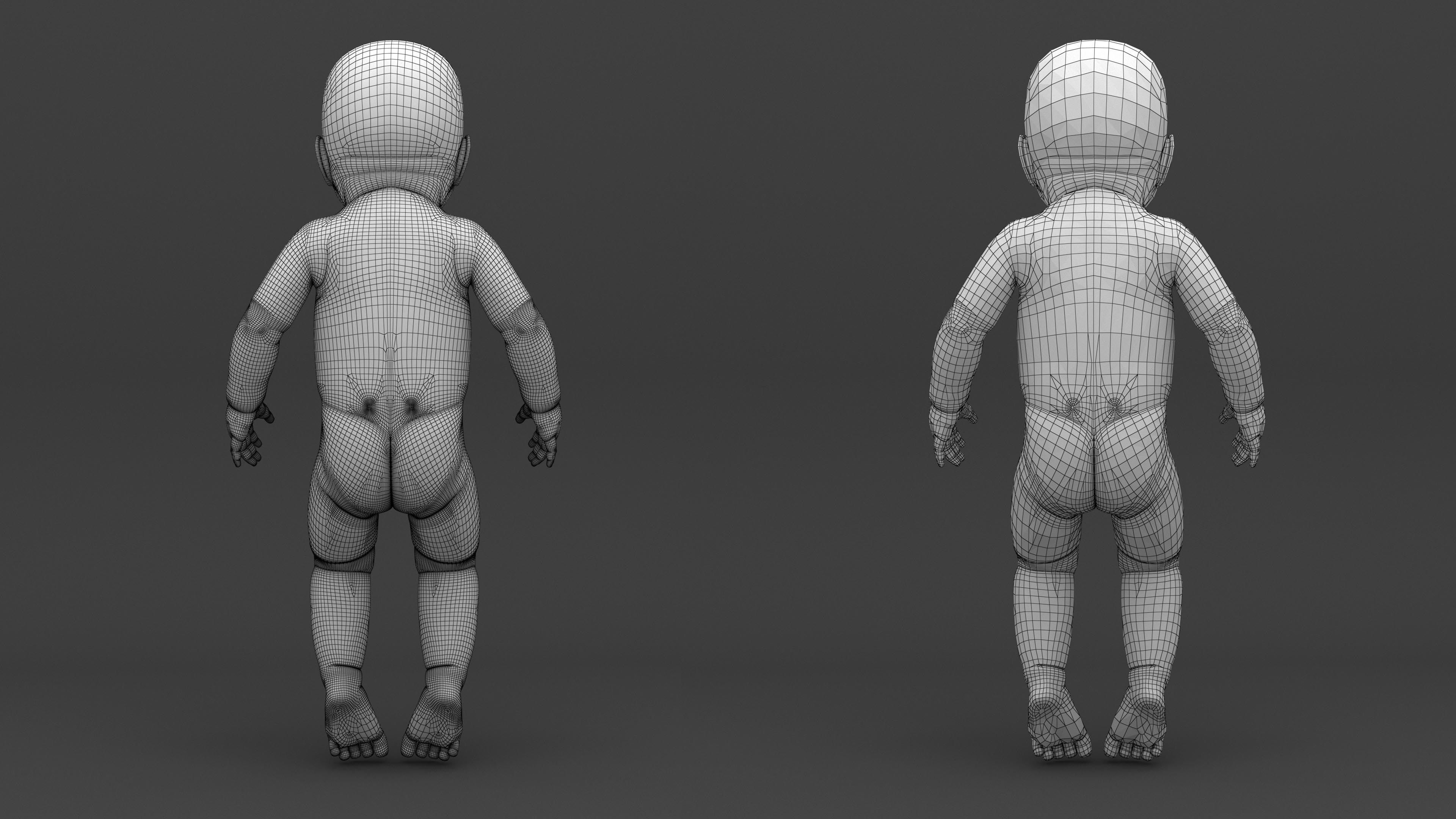 Infant 3D Model - Baby and Full Skeleton 3D model_16