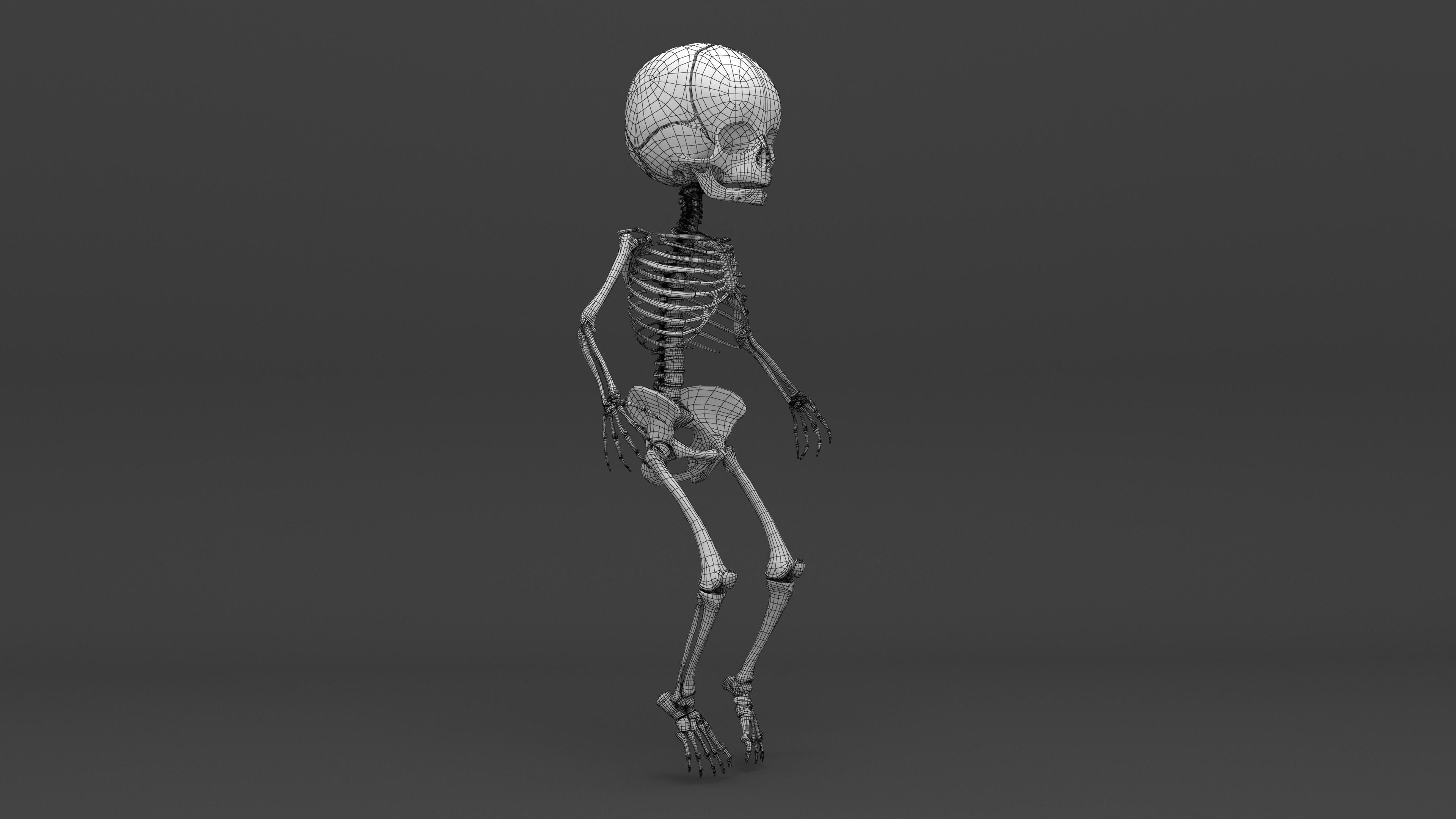Infant 3D Model - Baby and Full Skeleton 3D model_12