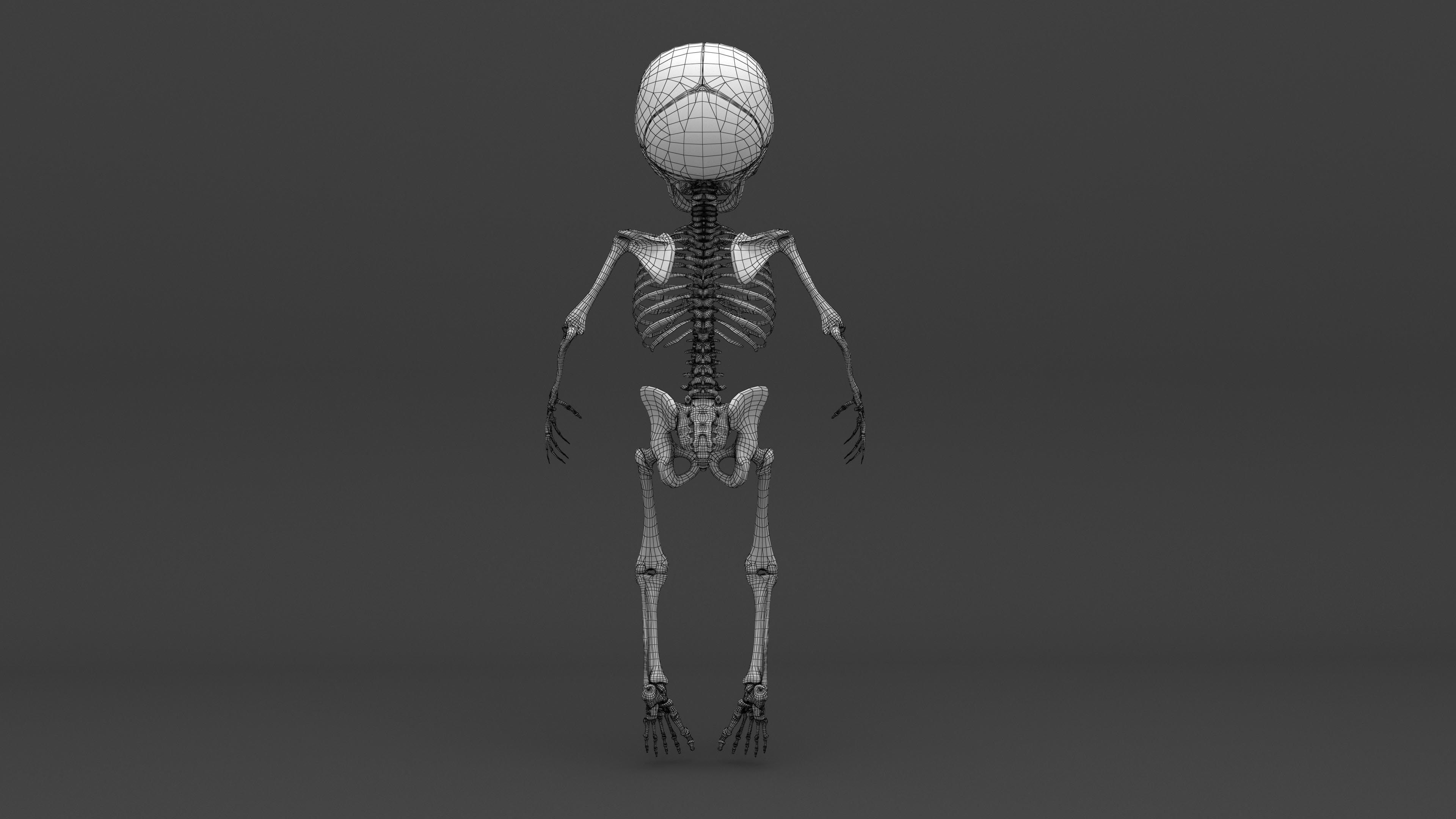 Infant 3D Model - Baby and Full Skeleton 3D model_13