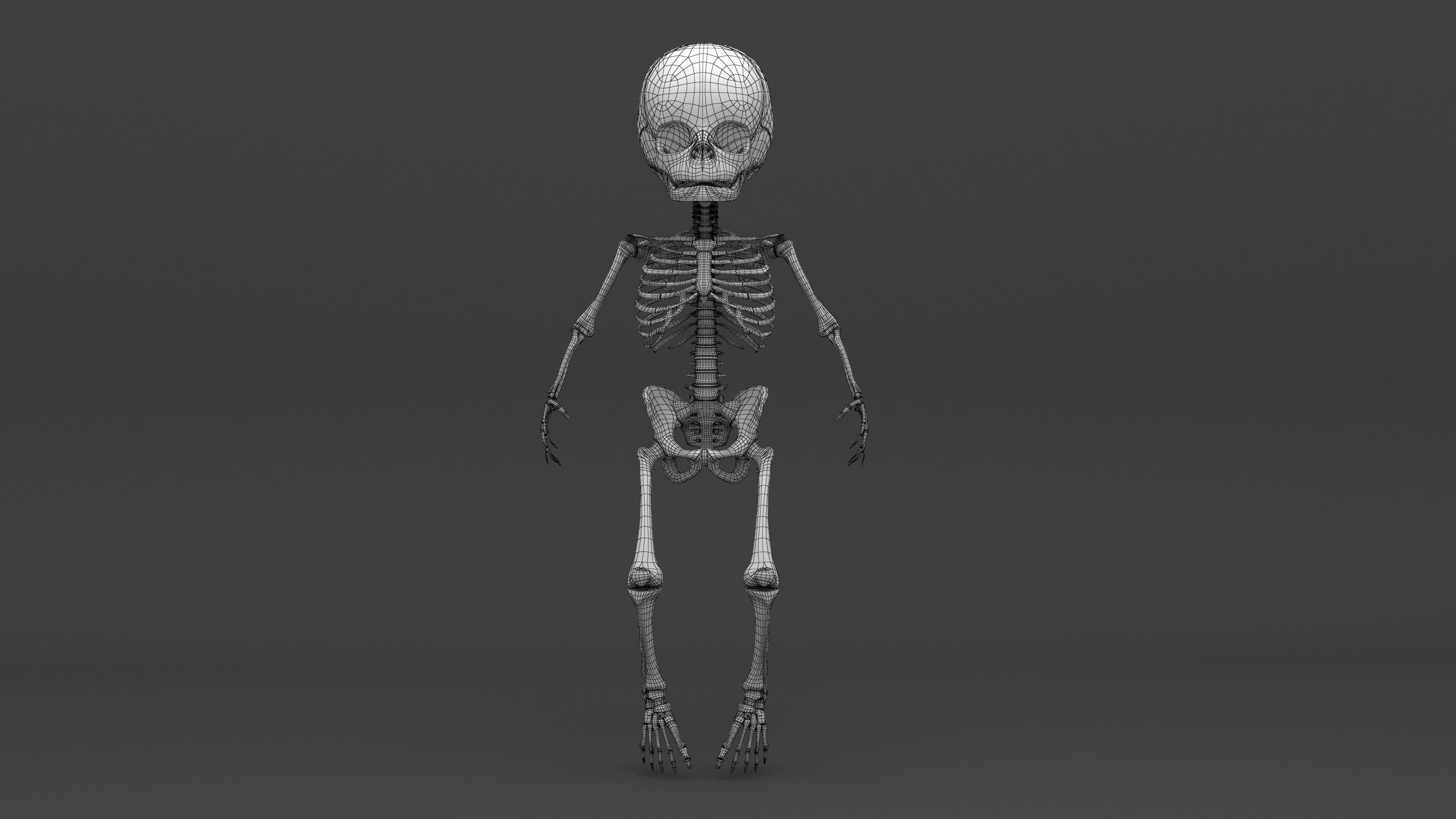 Infant 3D Model - Baby and Full Skeleton 3D model_11