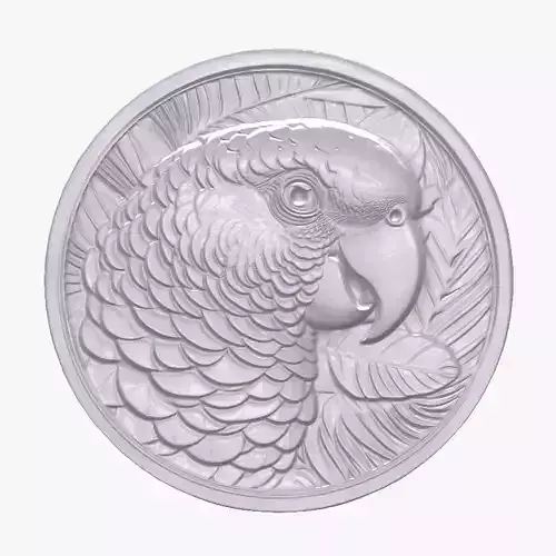 Amazon Parrot 3 basrelief for 3D printing