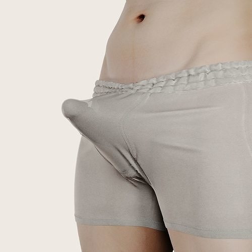 3D male penis scan Blend Shape 02 3D model