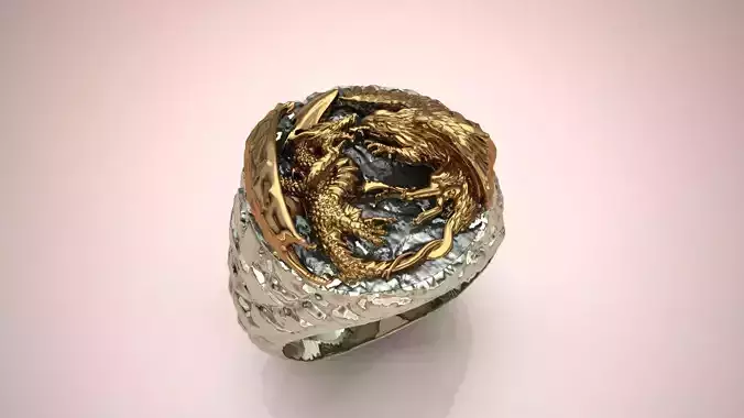 Dragon Eagle Fighting Ring 3D print model