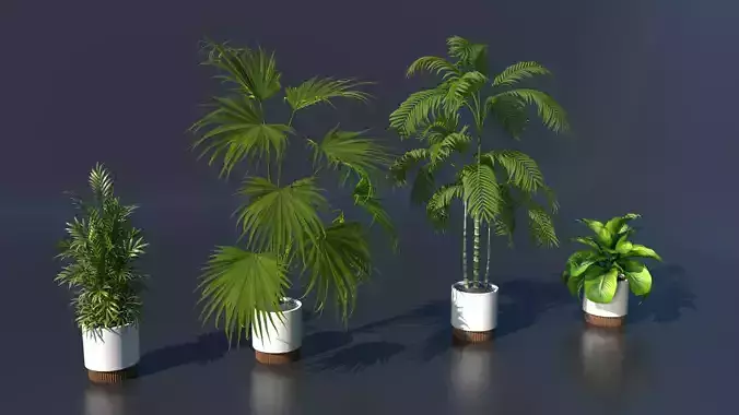 Plant model green plant model green plant potted plant 3D model