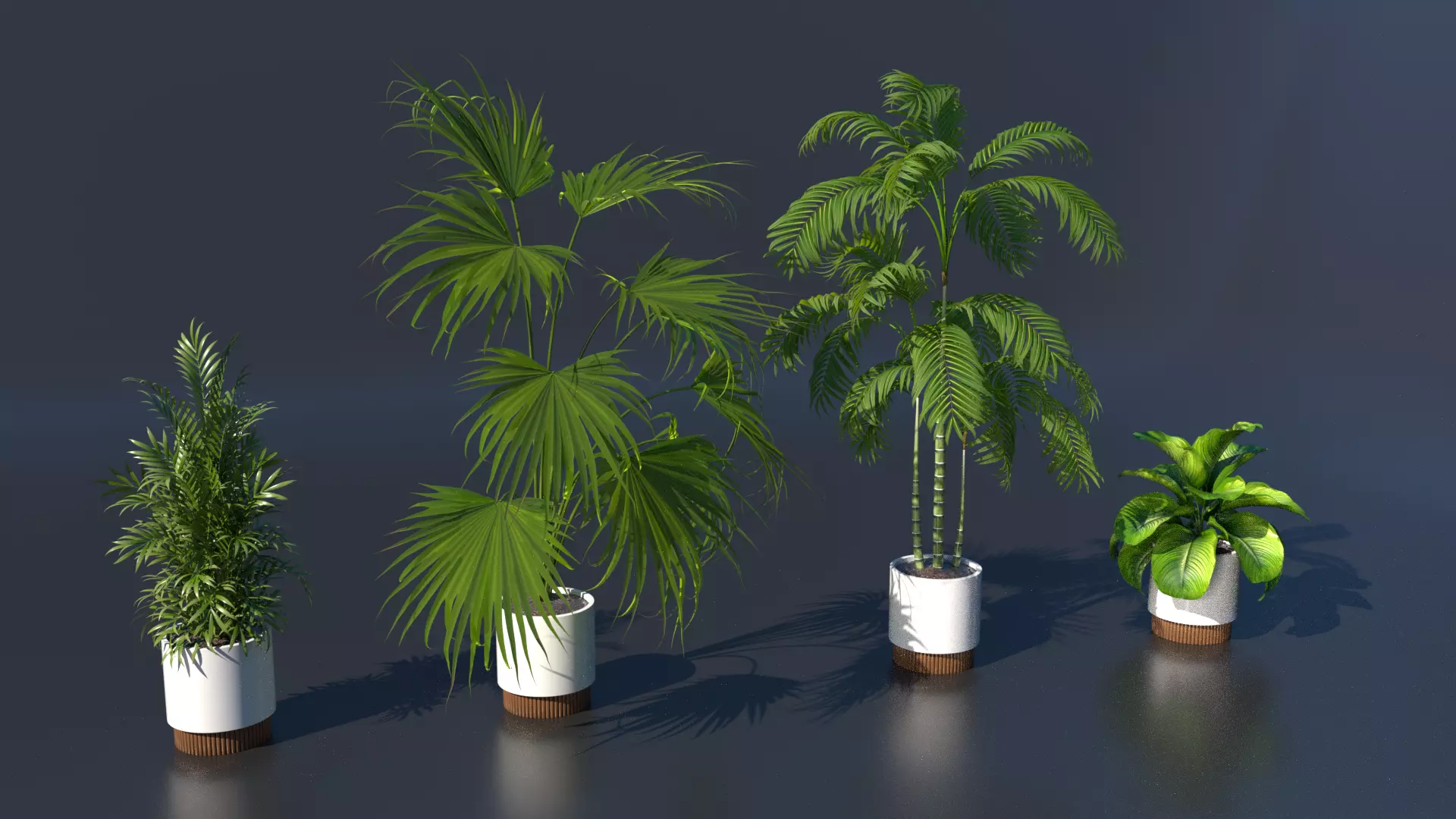 Plant model green plant model green plant potted plant 3D model_0