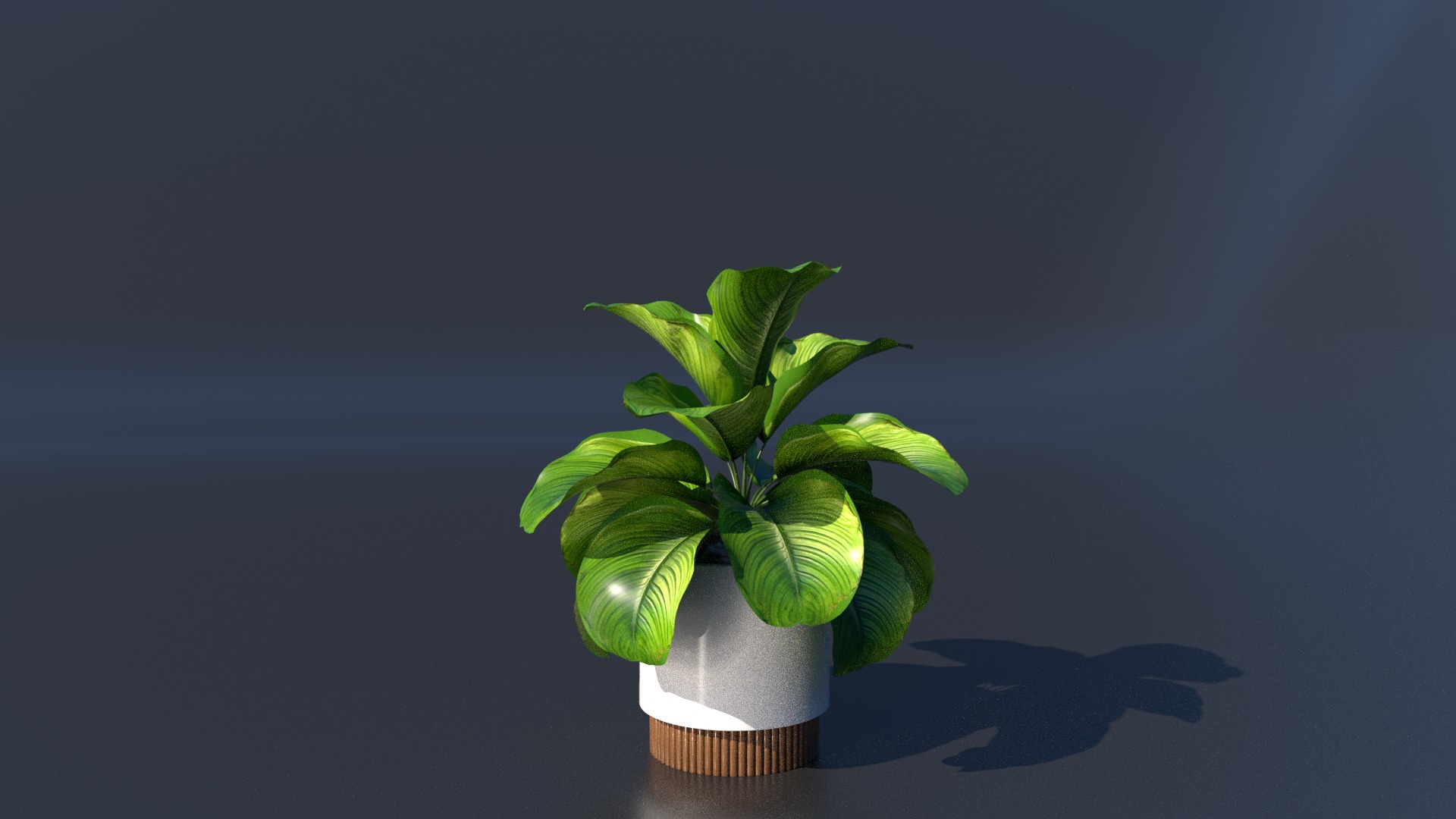 Plant model green plant model green plant potted plant 3D model_4