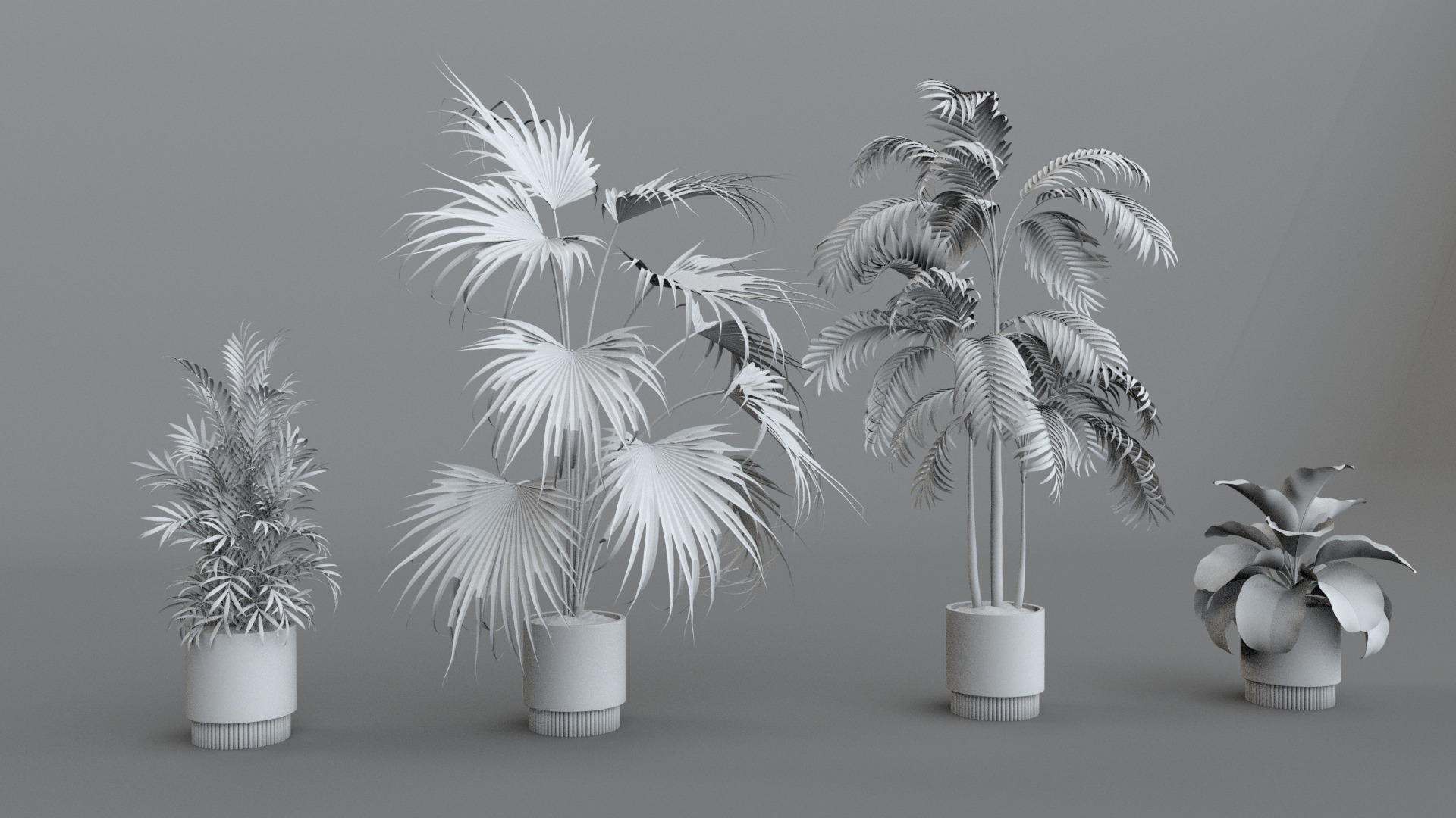 Plant model green plant model green plant potted plant 3D model_5