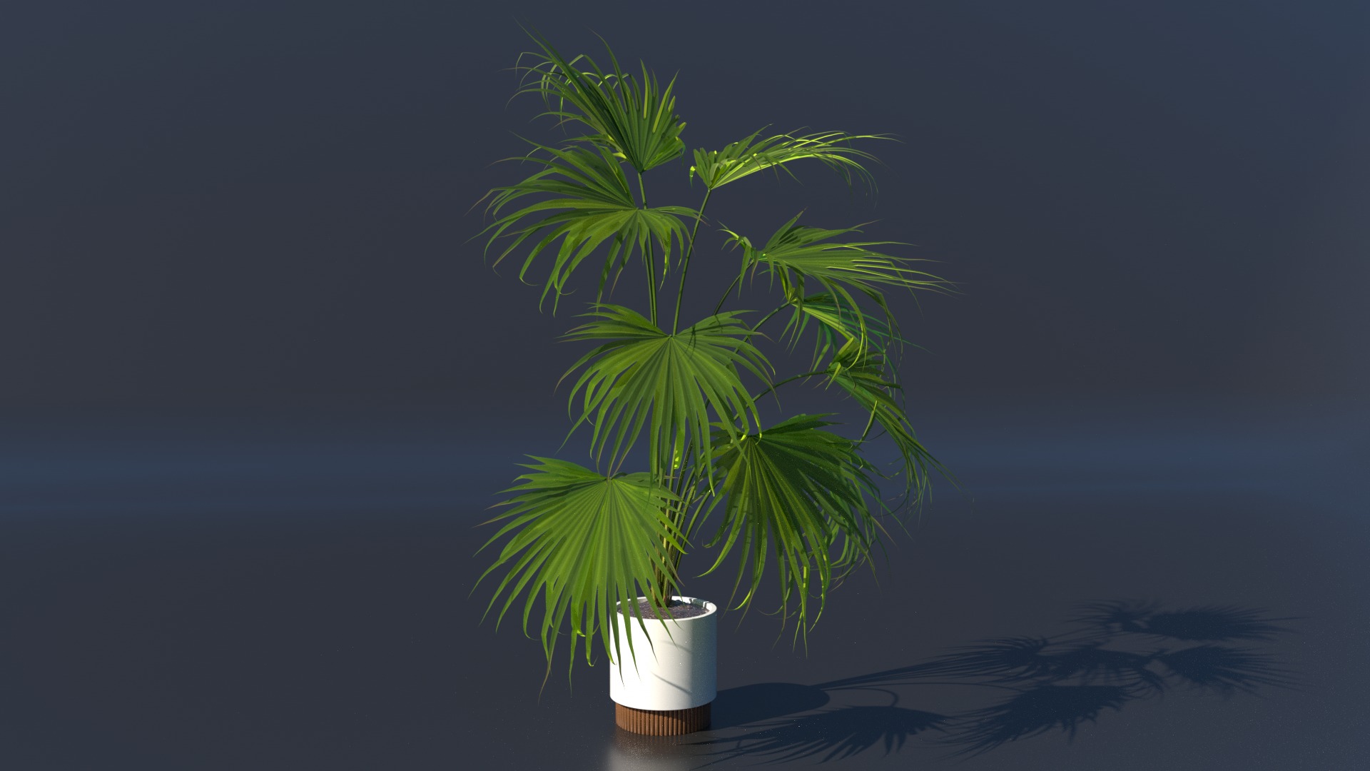 Plant model green plant model green plant potted plant 3D model_2