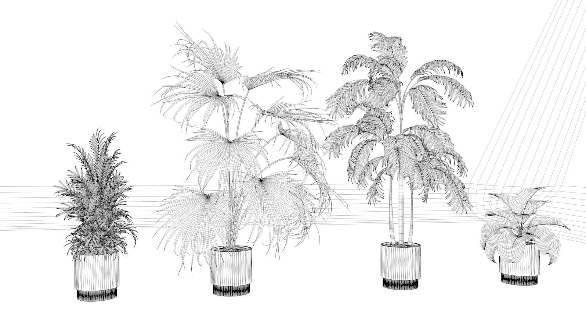 Plant model green plant model green plant potted plant 3D model_6