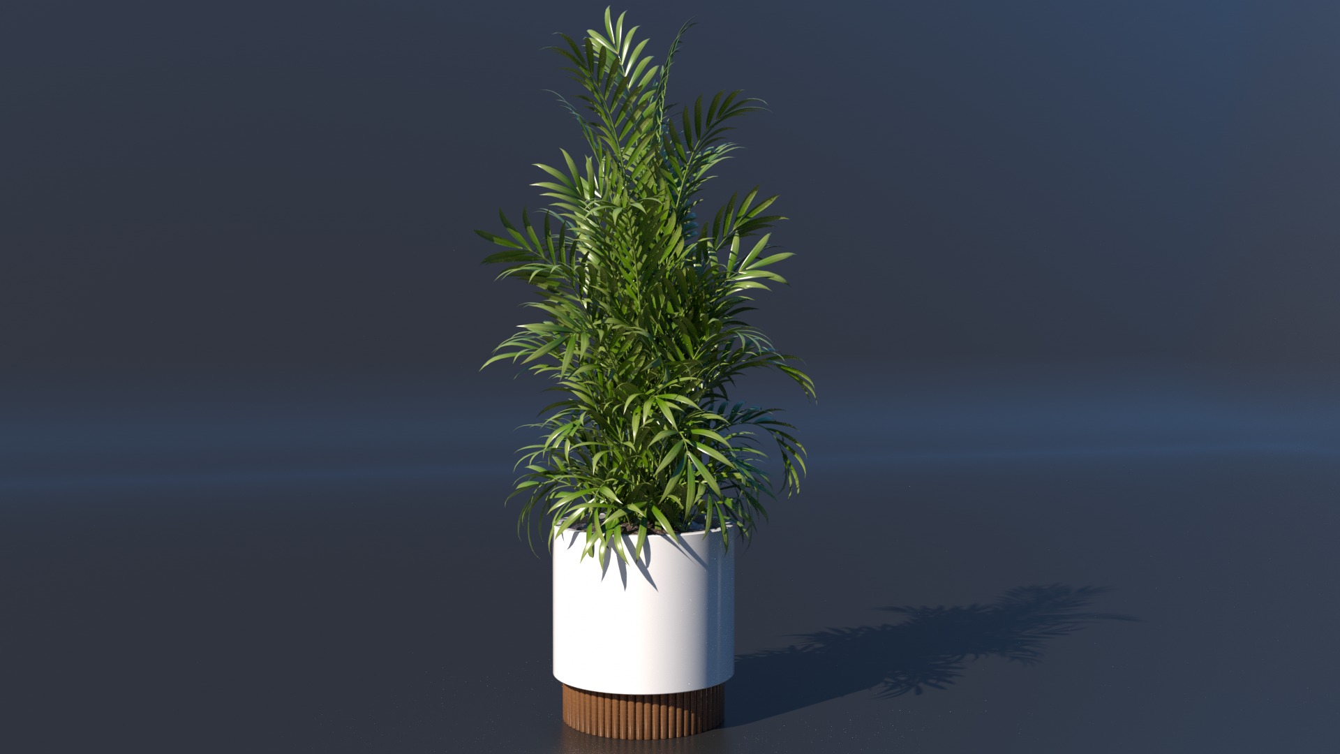 Plant model green plant model green plant potted plant 3D model_1