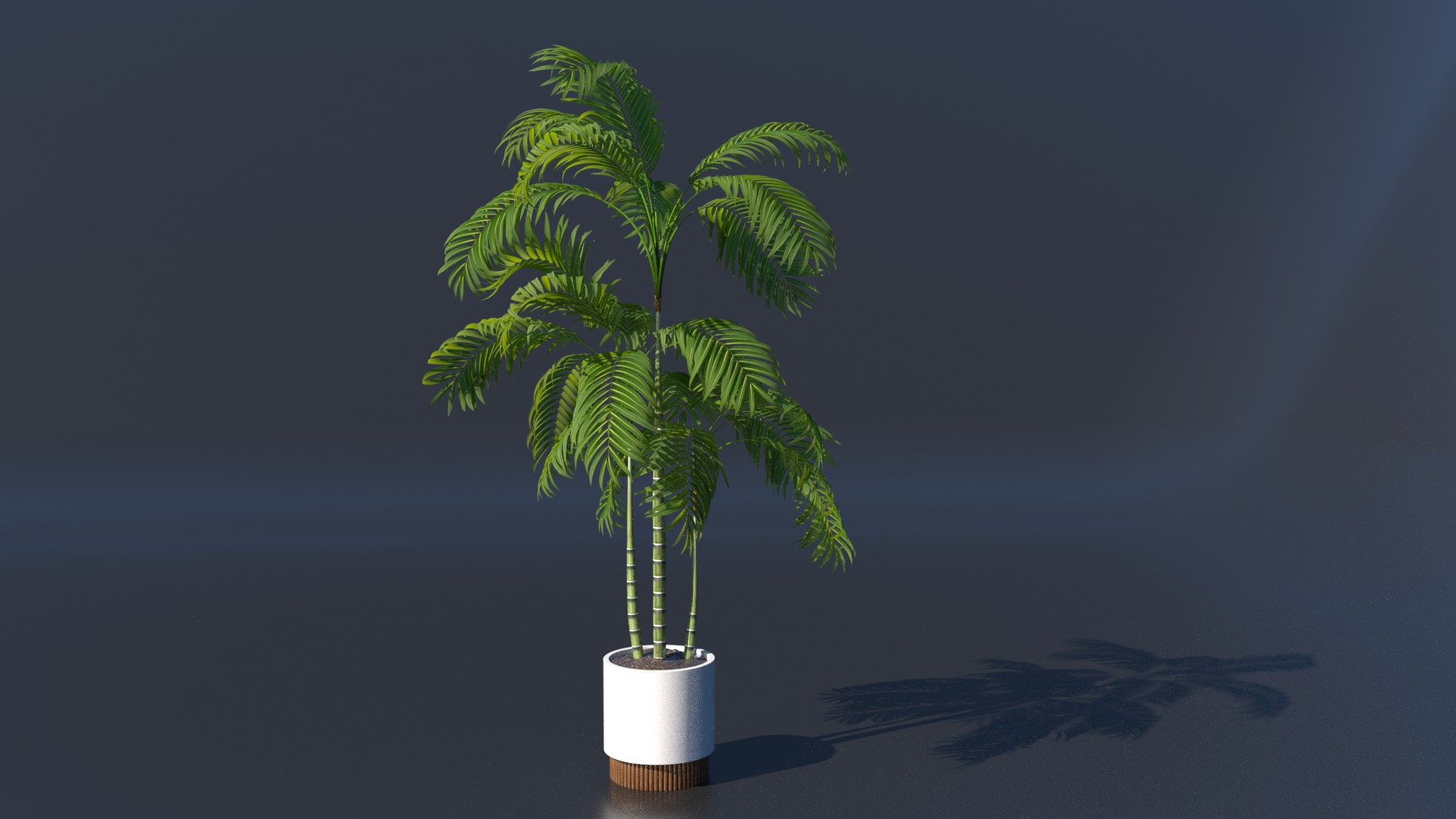 Plant model green plant model green plant potted plant 3D model_3