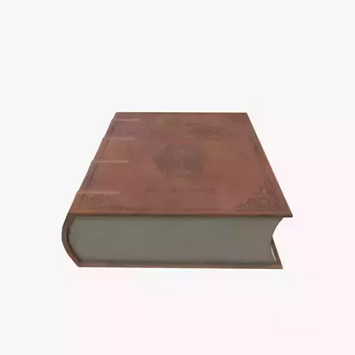 Medieval Book V01