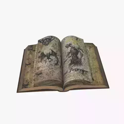 Medieval Book V05